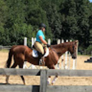 Meet your Posher, Katelinn